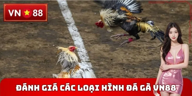 Đánh giá các loại hình Đá gà VN88