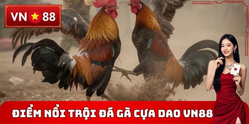 Điểm nổi trội đá gà cựa dao VN88