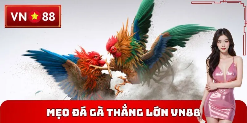 Mẹo Đá Gà Thắng Lớn VN88