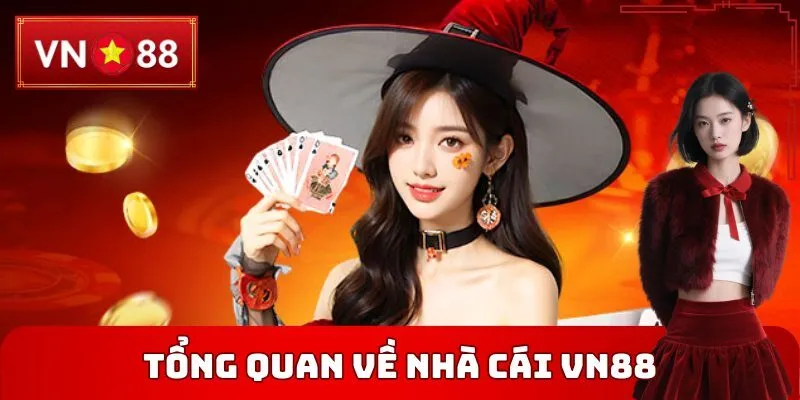Tổng quan về nhà cái Việt Nam VN88