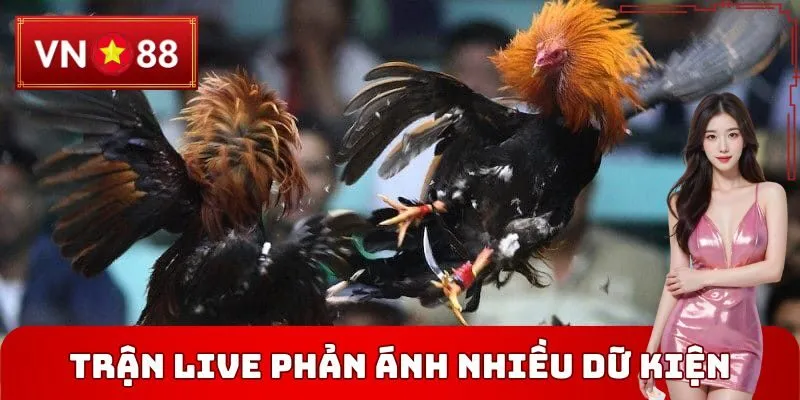 Xem trận live phản ánh nhiều dữ kiện